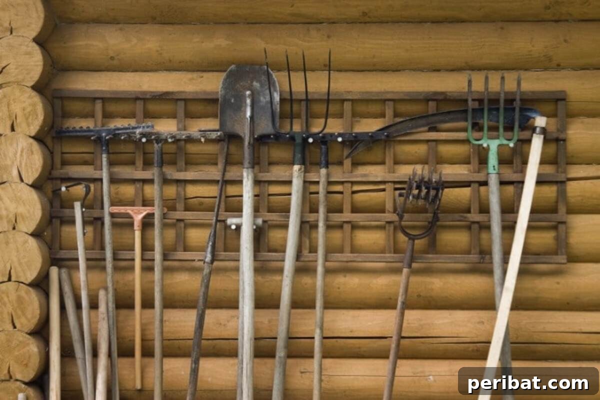 A buncn of garden tools.