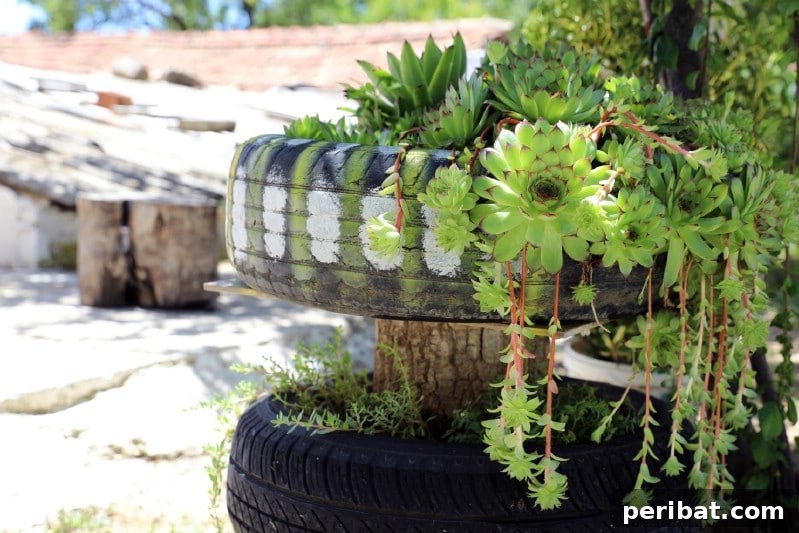 Rubber Reborn: 30 Garden Tire Transformations 16 Create a Succulent Garden