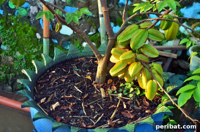 Rubber Reborn: 30 Garden Tire Transformations 20 Grow Your Own Fruit
