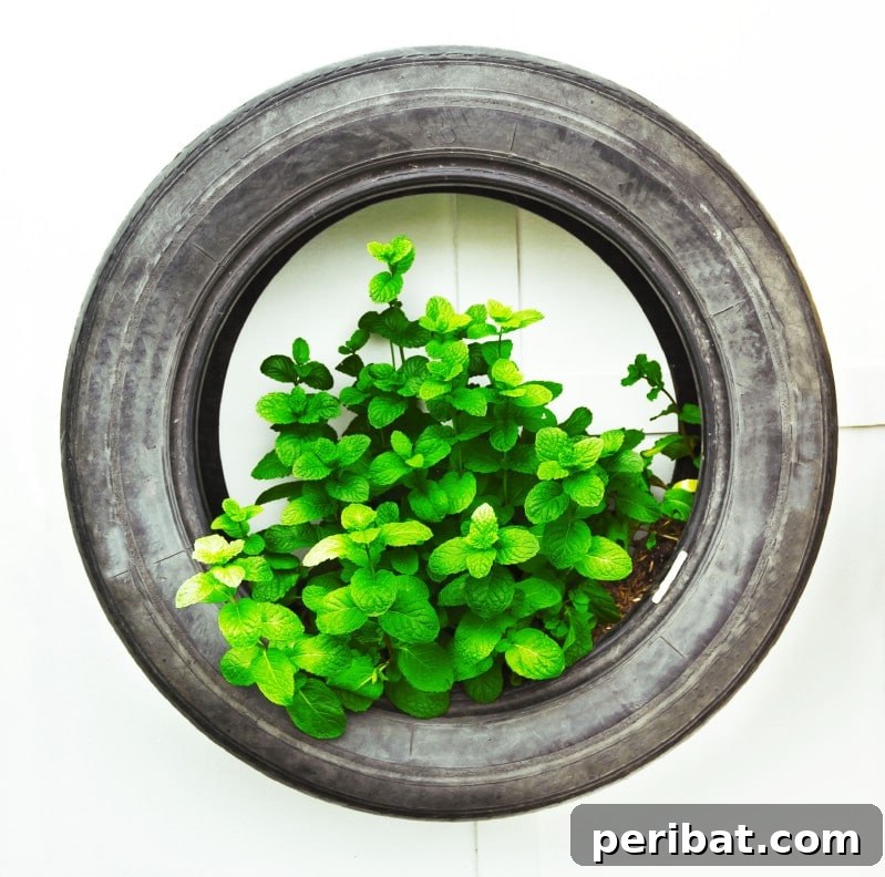 Rubber Reborn: 30 Garden Tire Transformations 4 Use Tires as Hanging Containers
