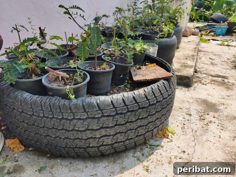Rubber Reborn: 30 Garden Tire Transformations 7 Create a Terrace Garden
