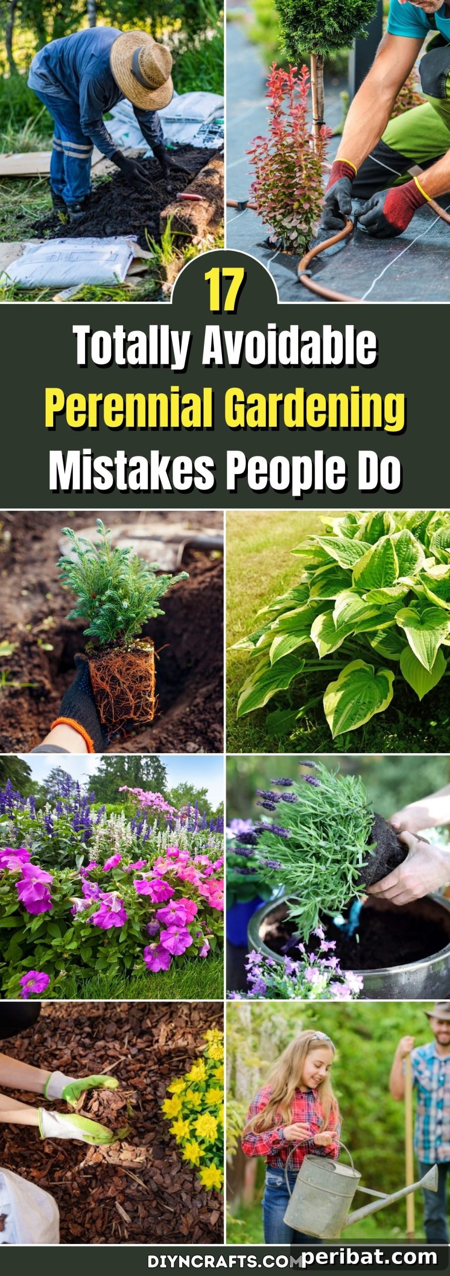 17 Totally Avoidable Perennial Gardening Mistakes People Do pinterest image