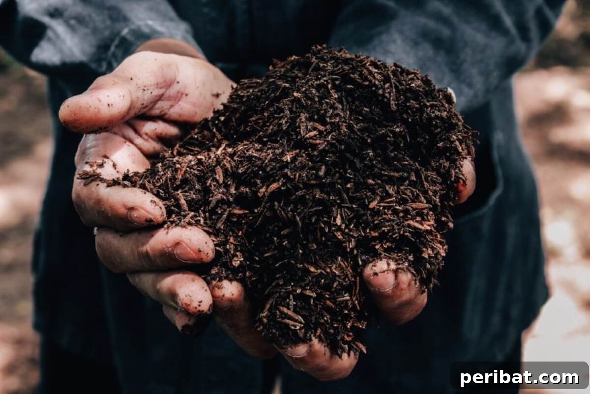 Quality soil handheld in the garden