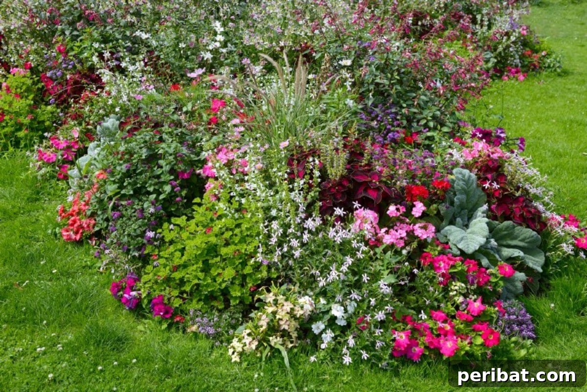Colorful garden with lots of flowers