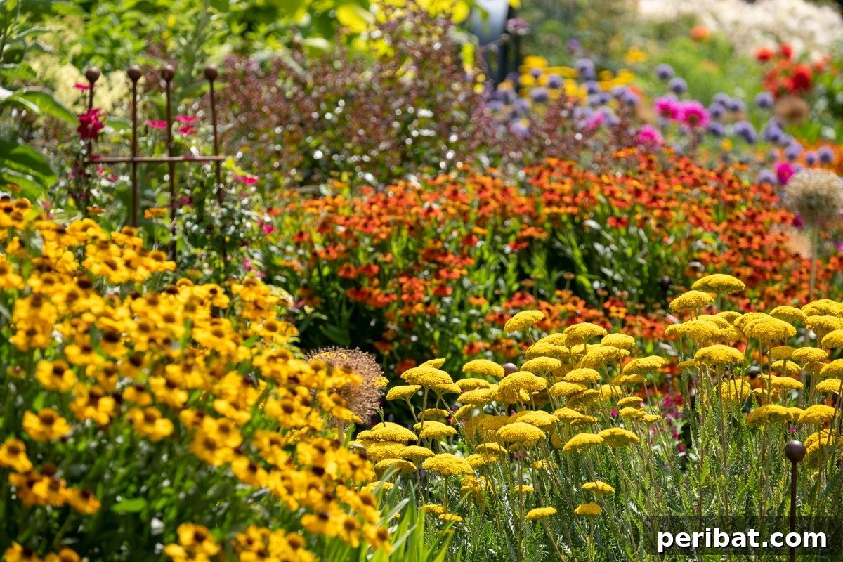A perennial garden.
