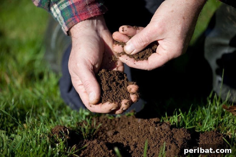 A gardener in gloves taking a soil sample for testing, emphasizing a hands-on approach to garden health.