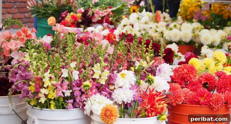 Your Garden's Secret Weapon 24 Baking Soda Tricks 12 Lots of freshly cut flowers in buckets.