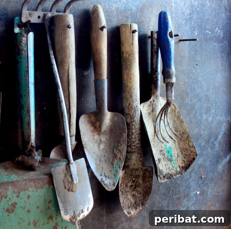 Your Garden's Secret Weapon 24 Baking Soda Tricks 14 Dirty farmers tools hanged.