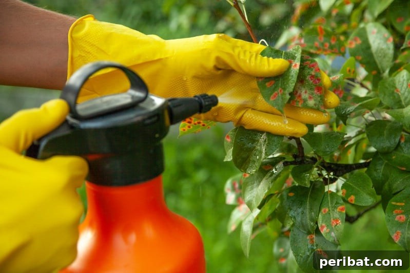 Your Garden's Secret Weapon 24 Baking Soda Tricks 3 Using baking soda fungicide in the garden