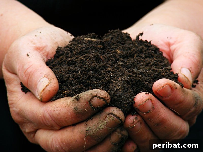 Soil ready to be ph tested.