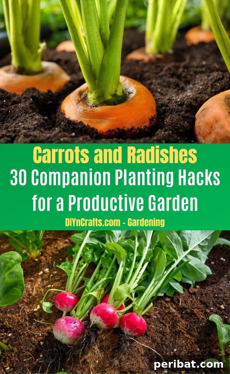 30 Dynamic Duos for a Bountiful Backyard 11 Carrots and Radishes - Companion planting pairs
