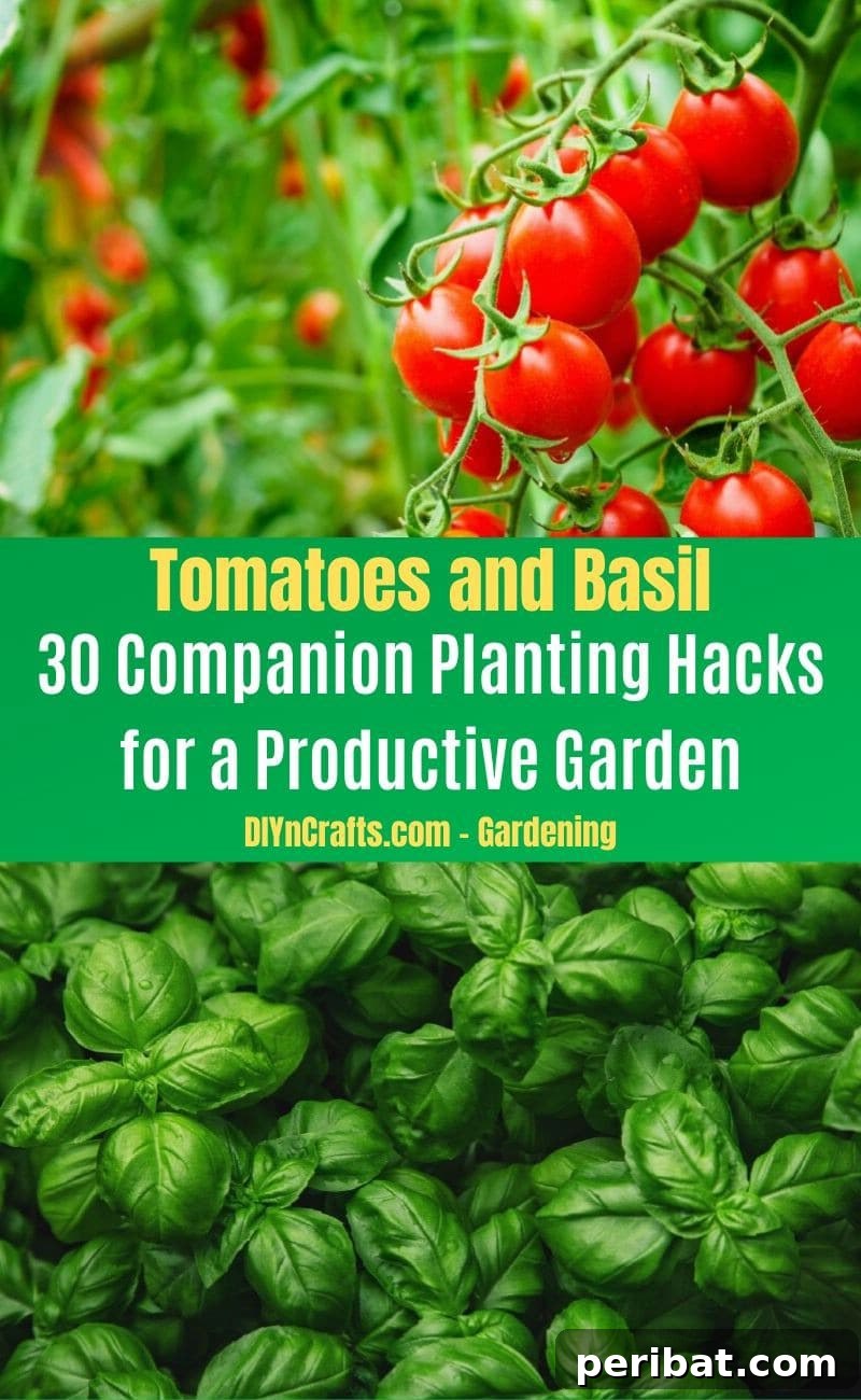 30 Dynamic Duos for a Bountiful Backyard 12 Tomatoes and Basil - Companion planting pairs