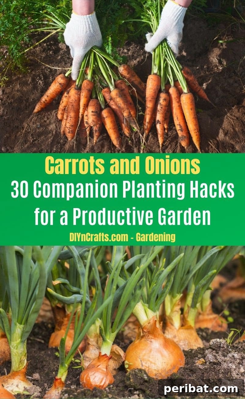30 Dynamic Duos for a Bountiful Backyard 20 Carrots and Onions - Companion planting pairs