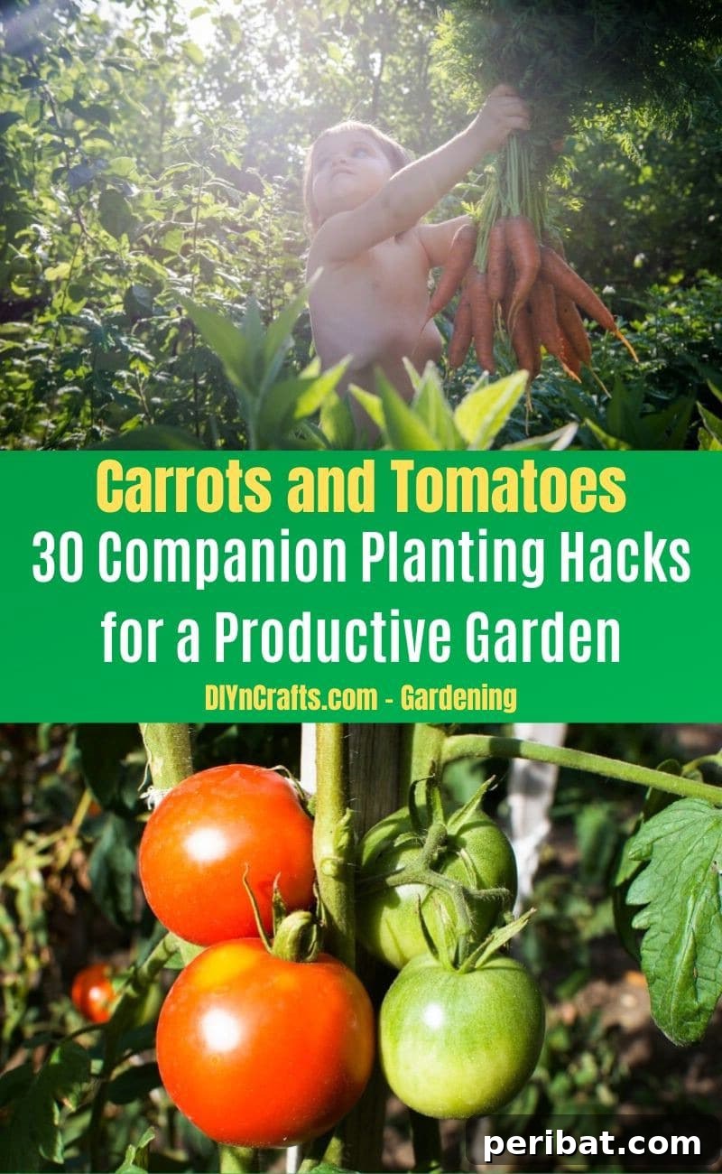 30 Dynamic Duos for a Bountiful Backyard 28 Carrots and Tomatoes - Companion planting pairs