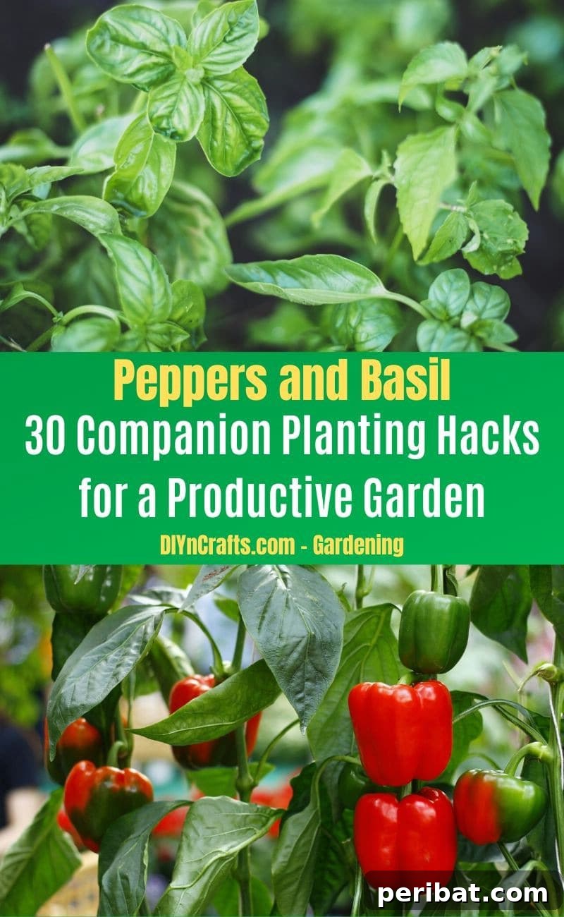 30 Dynamic Duos for a Bountiful Backyard 4 Peppers and Basil - Companion planting pairs