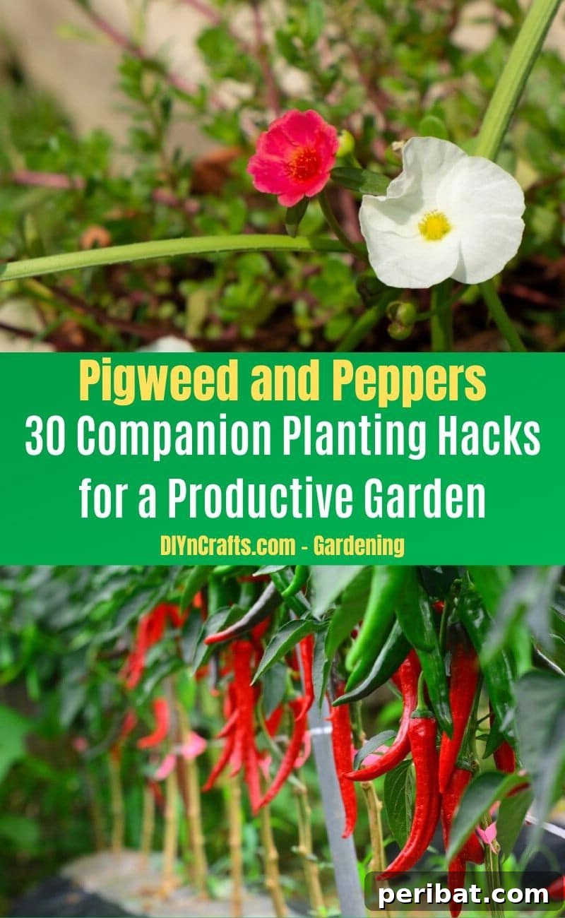 30 Dynamic Duos for a Bountiful Backyard 31 Pigweed and Peppers - Companion planting pairs
