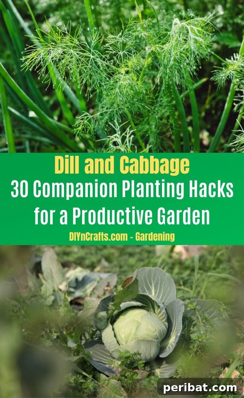 30 Dynamic Duos for a Bountiful Backyard 32 Dill and Cabbage - Companion planting pairs