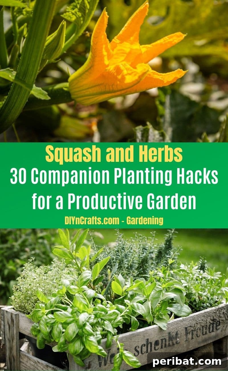 30 Dynamic Duos for a Bountiful Backyard 5 Squash and Herbs - Companion planting pairs