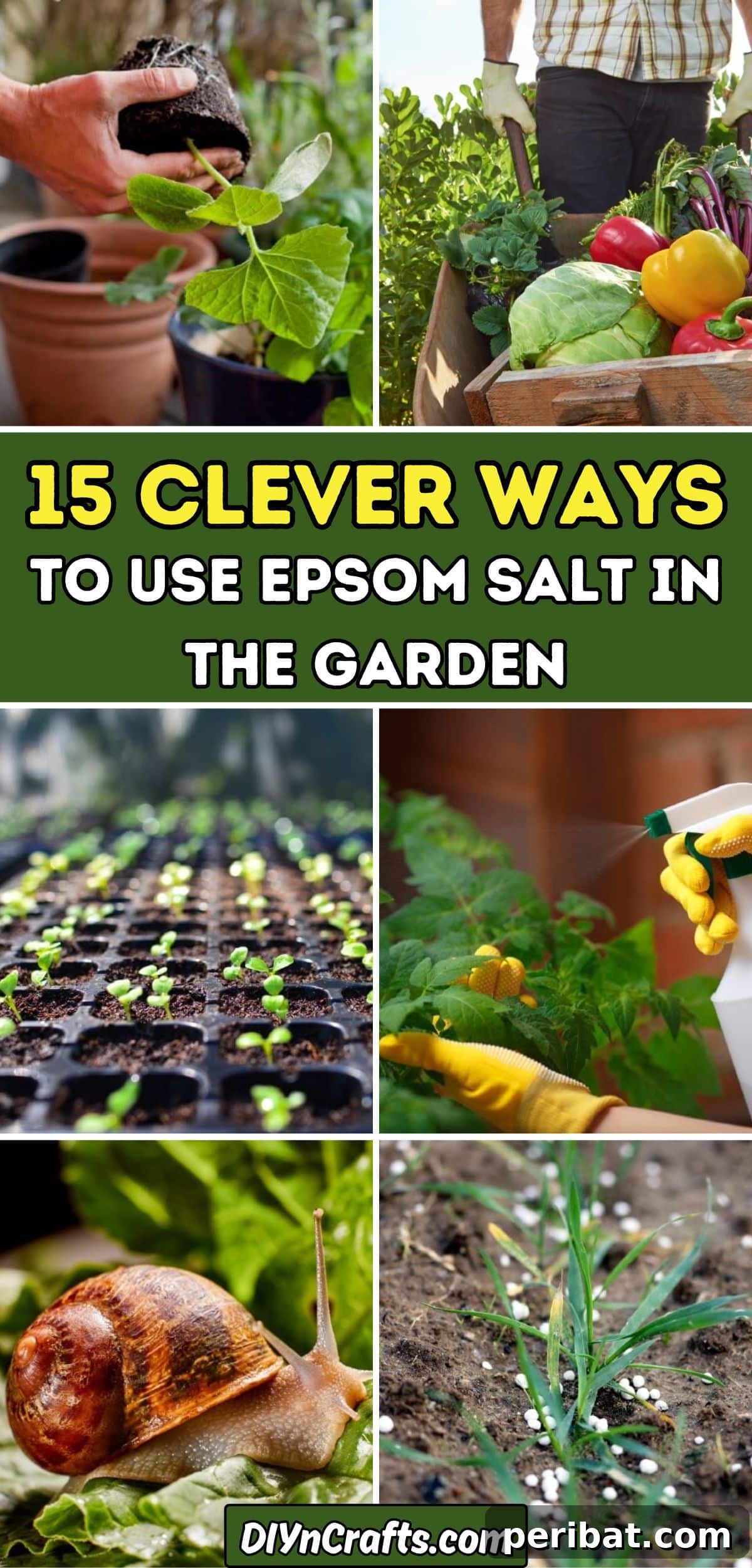 Grow Smarter: Epsom Salt Hacks for Your Garden 2 15 Clever Ways to Use Epsom Salt in the Garden collage.