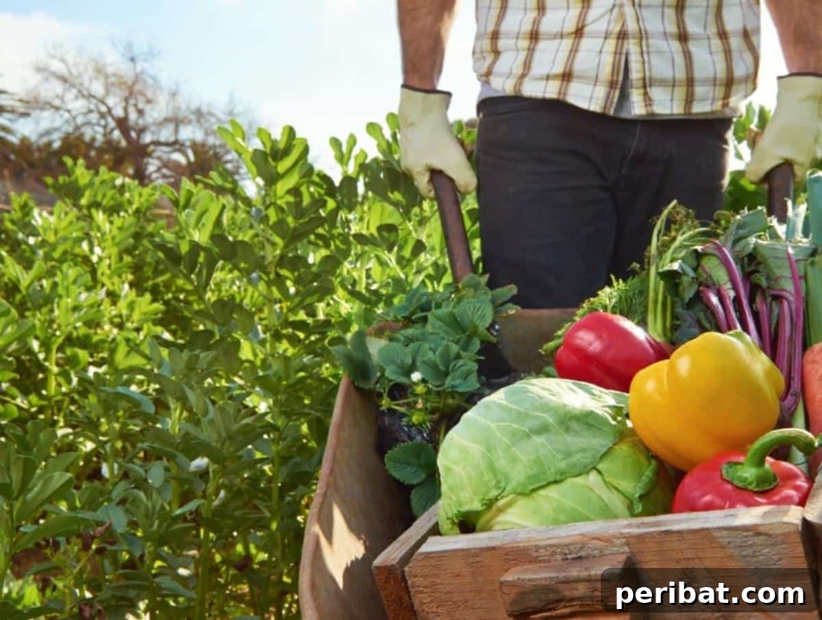 Grow Smarter: Epsom Salt Hacks for Your Garden 16 A gardener is holding a wheelbarrow full of vegetables.