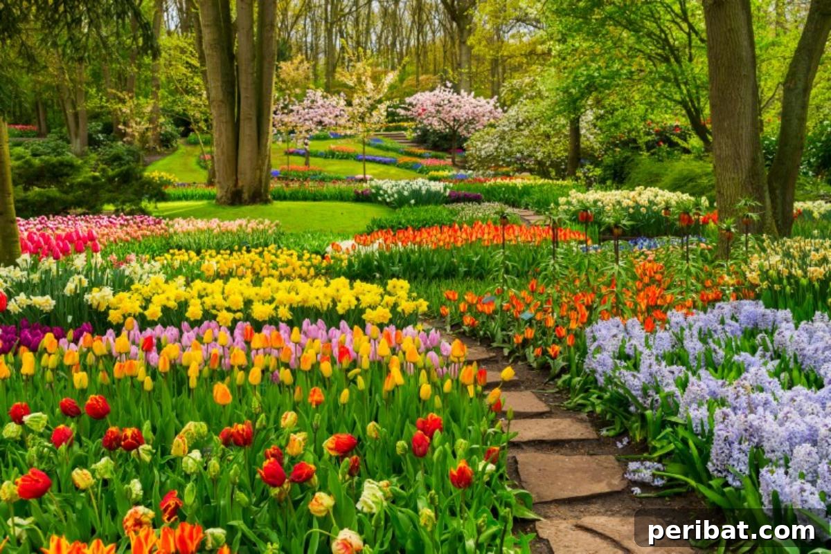 Grow Smarter: Epsom Salt Hacks for Your Garden 17 A garden full of flowers in full bloom.