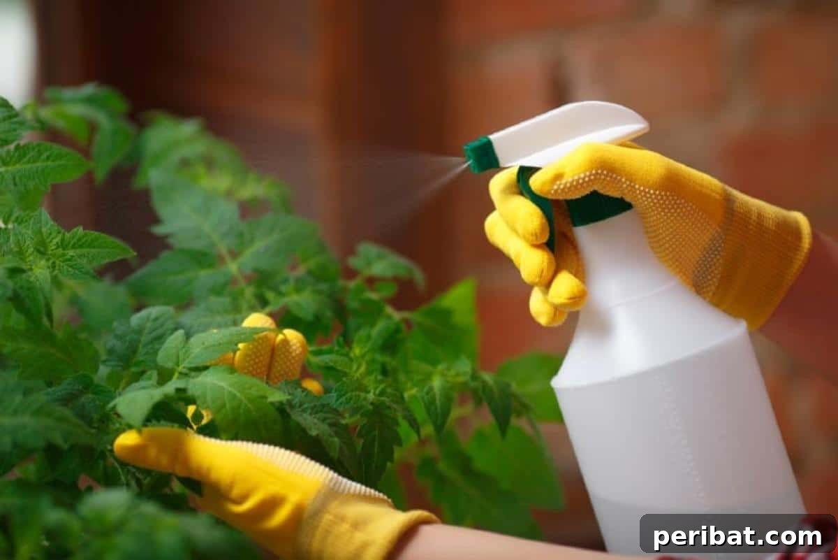 Grow Smarter: Epsom Salt Hacks for Your Garden 3 A gardener is spraying a plant