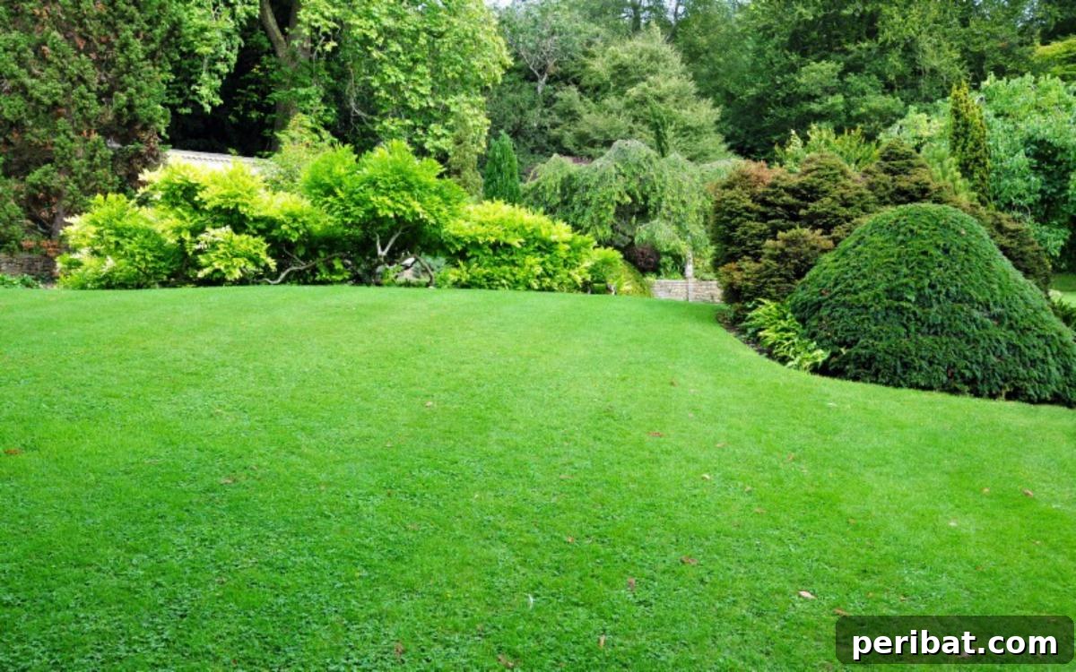 Grow Smarter: Epsom Salt Hacks for Your Garden 6 A freshly-cutted green lawn.