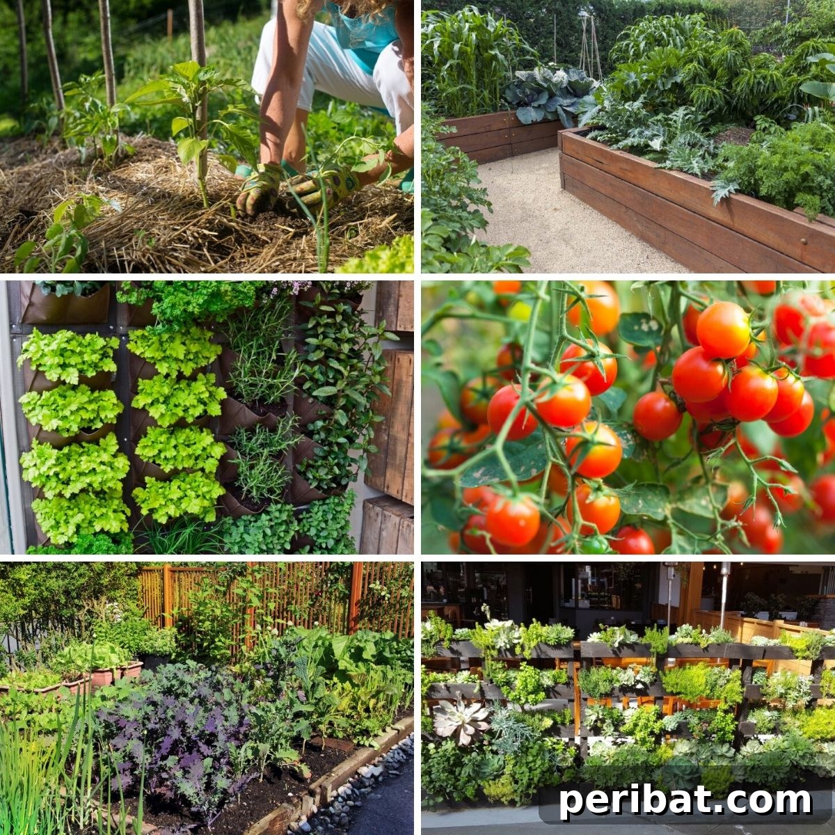 Unlock 500% Bigger Harvests with These 13 Gardening Secrets 2 Photo collage featuring photos from the high yield gardening tips from the article.