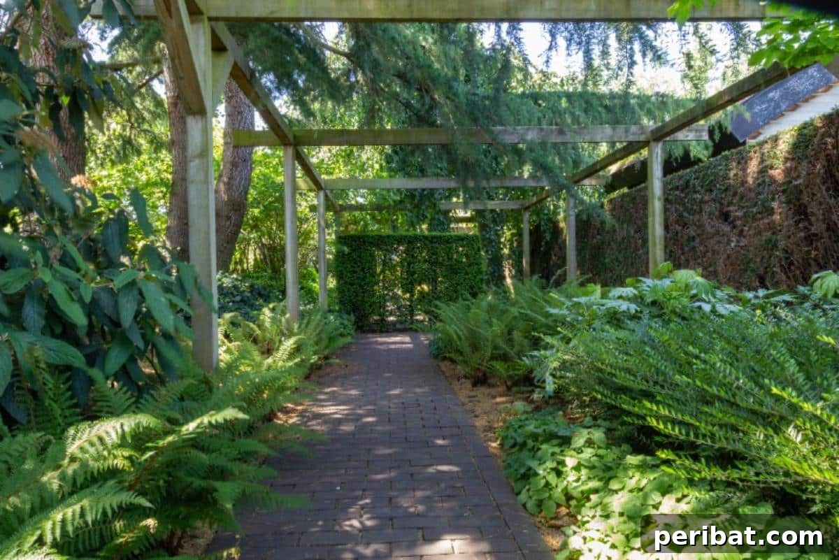 Unlock 500% Bigger Harvests with These 13 Gardening Secrets 14 Garden grow in shady spots.