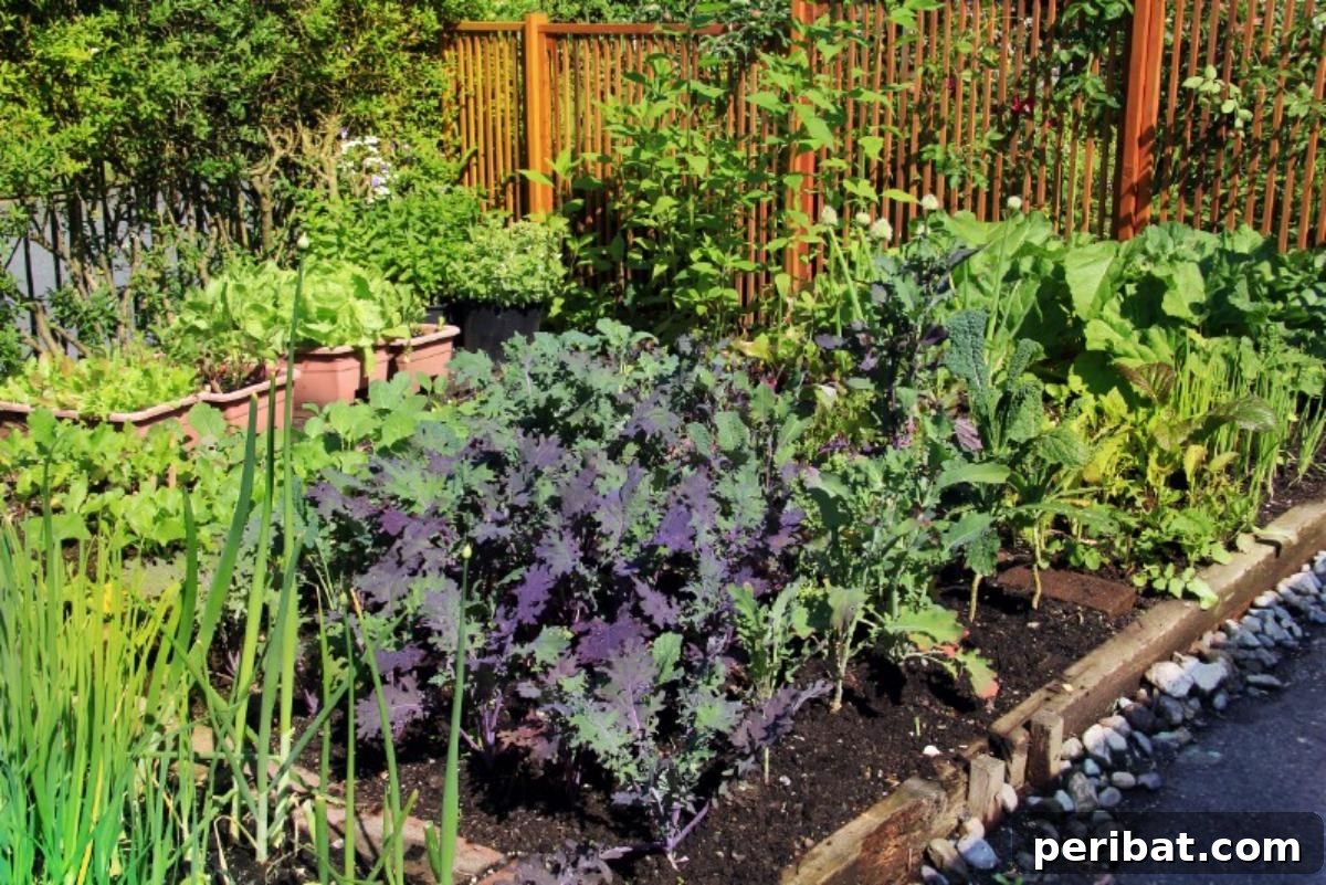 Unlock 500% Bigger Harvests with These 13 Gardening Secrets 3 High-intensity gardening example