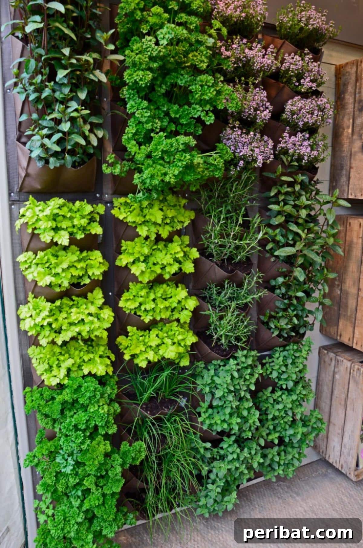 Unlock 500% Bigger Harvests with These 13 Gardening Secrets 5 Vertical herb garden.