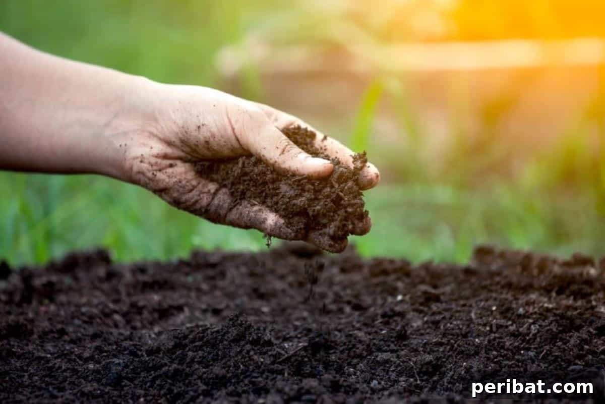 Unlock 500% Bigger Harvests with These 13 Gardening Secrets 9 Fertile well composted soil.