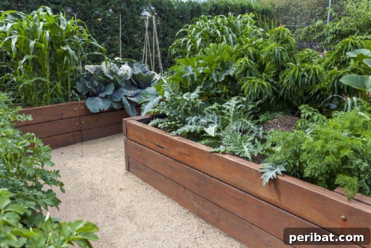 Unlock 500% Bigger Harvests with These 13 Gardening Secrets 10 Well organized vegetable garden using raised garden beds.