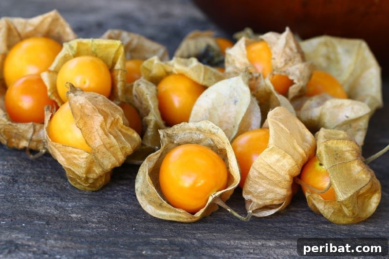 Homegrown Delights: Easy Berry Bushes for a Sweet Harvest 14 Ground cherries, enclosed in their papery husks, some peeled to show the yellow fruit.