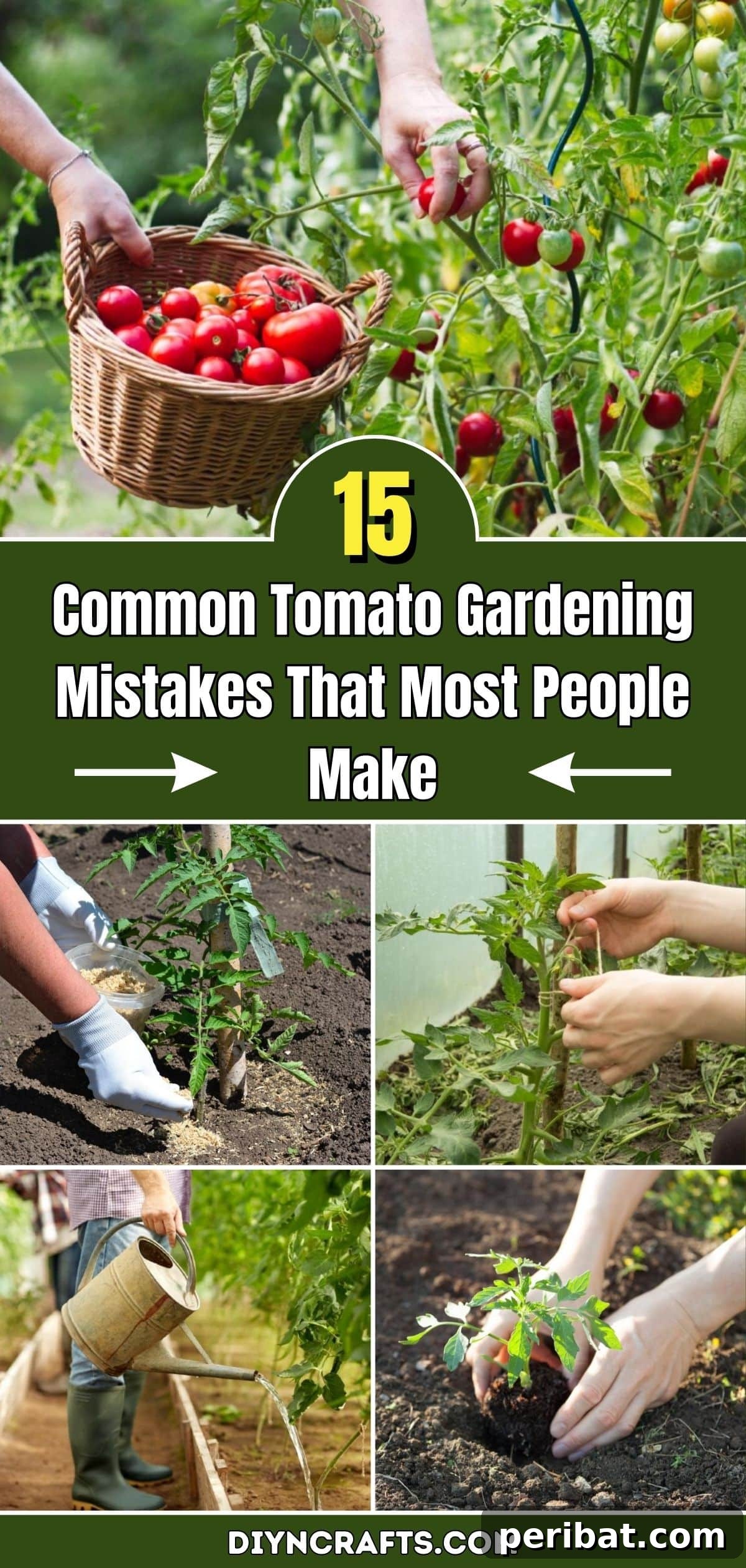 The 15 Biggest Tomato Gardening Errors Almost Everyone Commits 2 15 Common Tomato Gardening Mistakes That Most People Make pinterest image