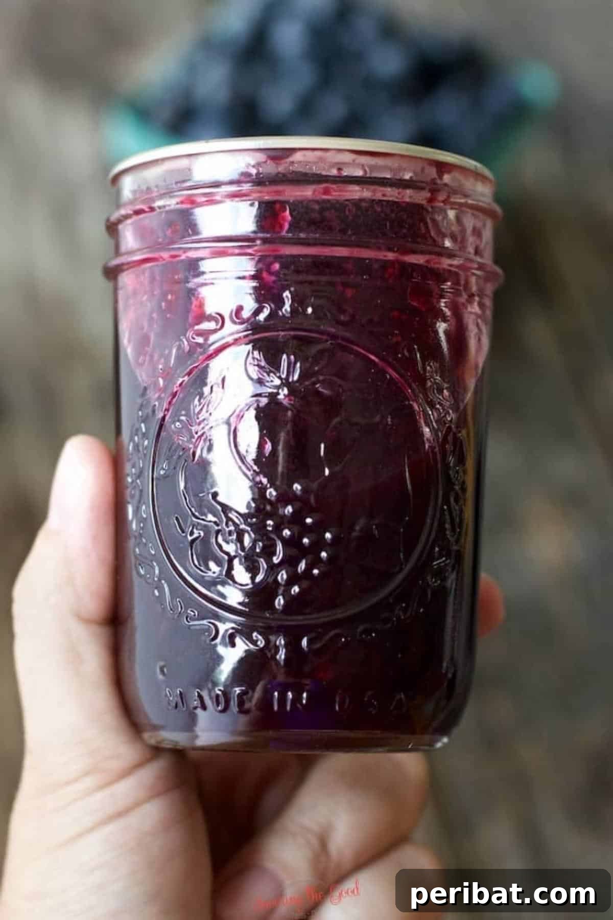 Extend Your Garden Harvest: 3 Simple Preservation Methods and 20 Flavorful Recipes 17 Jar of blueberry jam