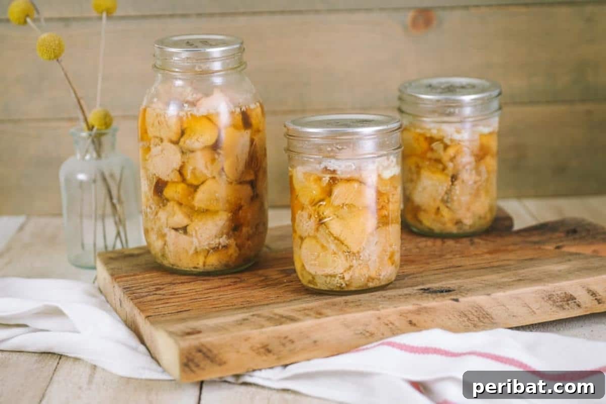 Extend Your Garden Harvest: 3 Simple Preservation Methods and 20 Flavorful Recipes 21 Chicken in mason jars