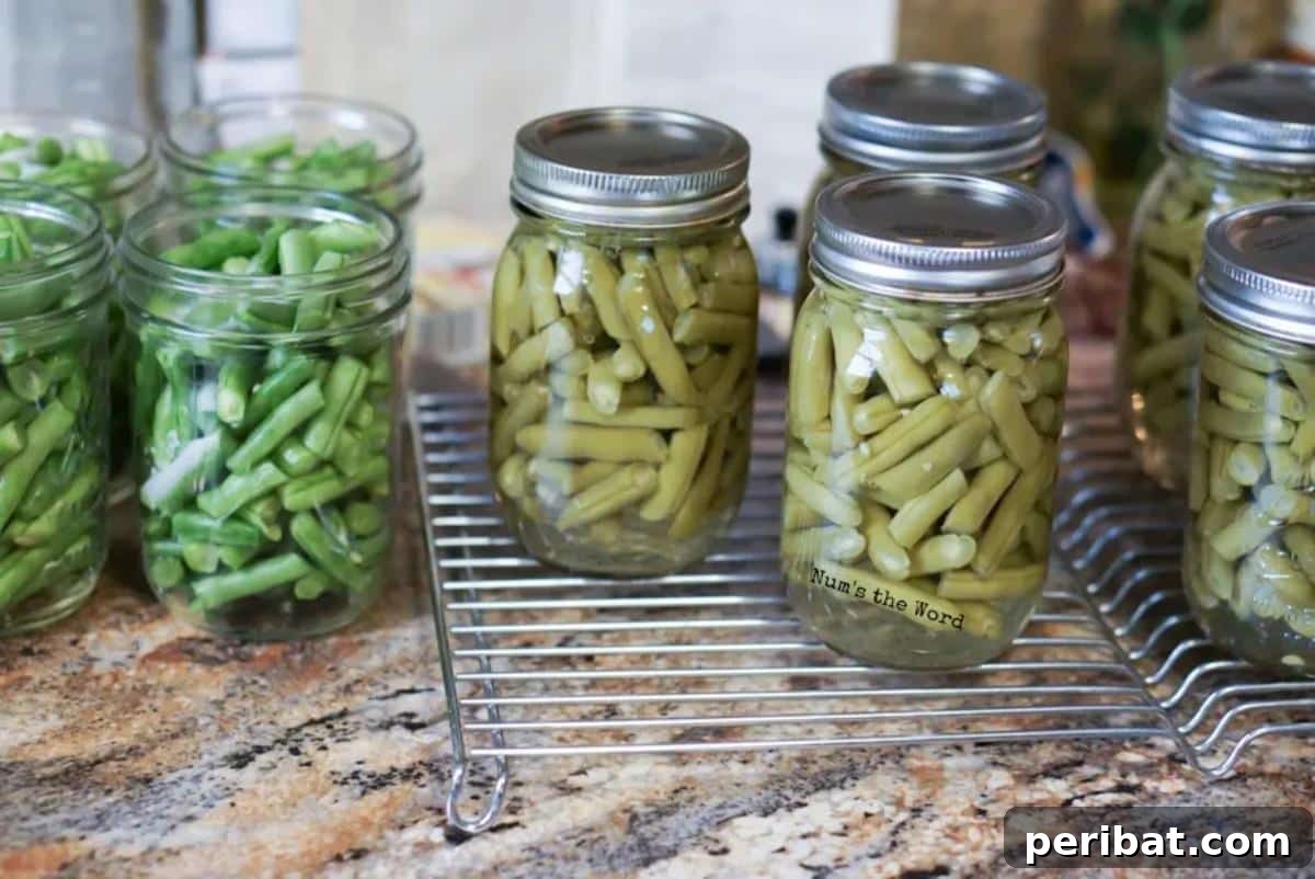 Extend Your Garden Harvest: 3 Simple Preservation Methods and 20 Flavorful Recipes 25 Green beans in mason jars