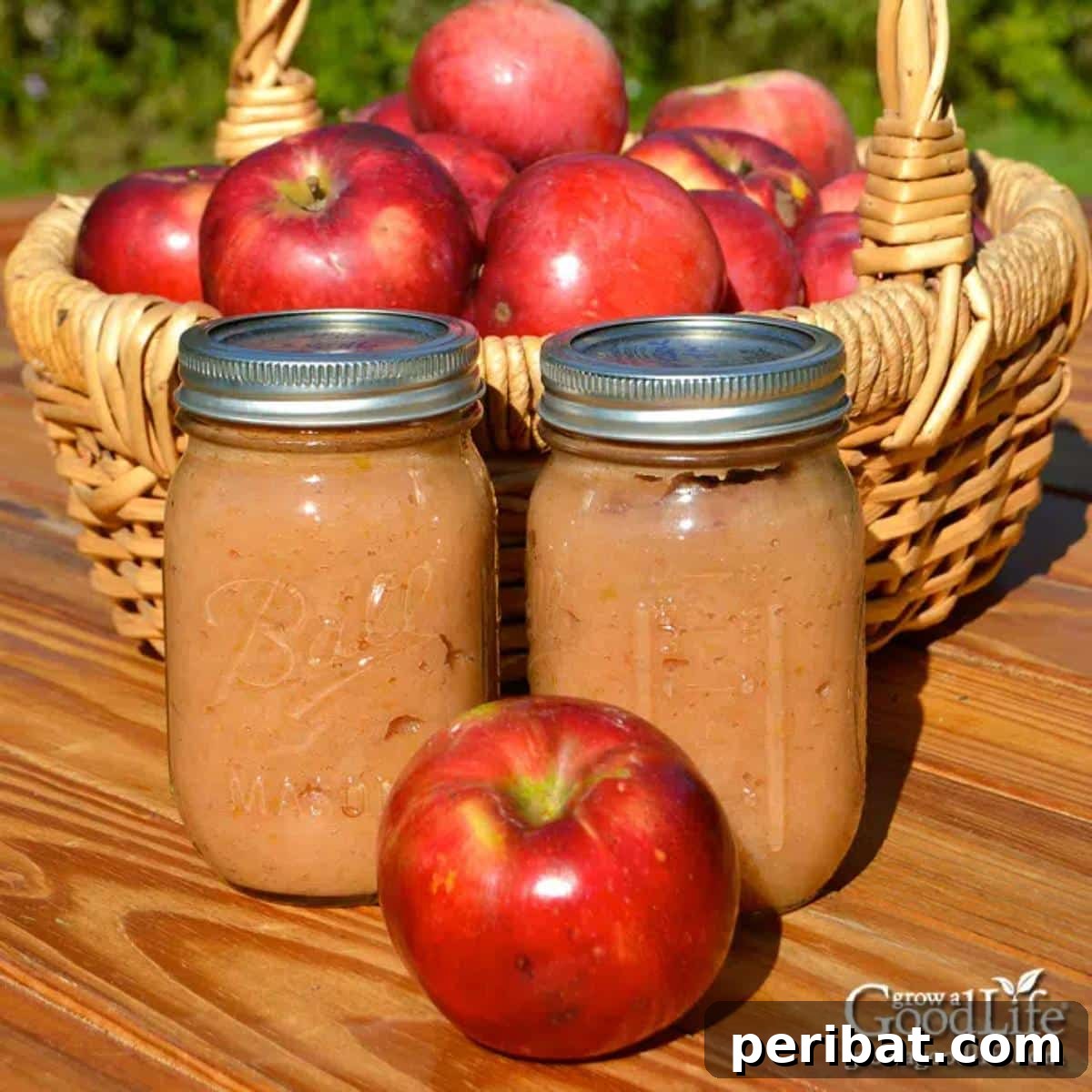 Extend Your Garden Harvest: 3 Simple Preservation Methods and 20 Flavorful Recipes 26 Jars of apple sauce