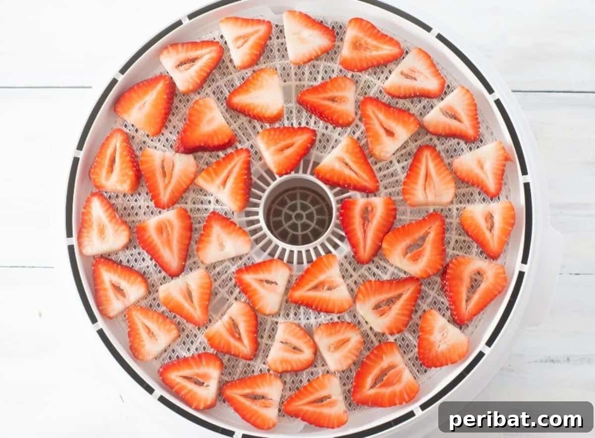 Extend Your Garden Harvest: 3 Simple Preservation Methods and 20 Flavorful Recipes 32 Dehydrated strawberries