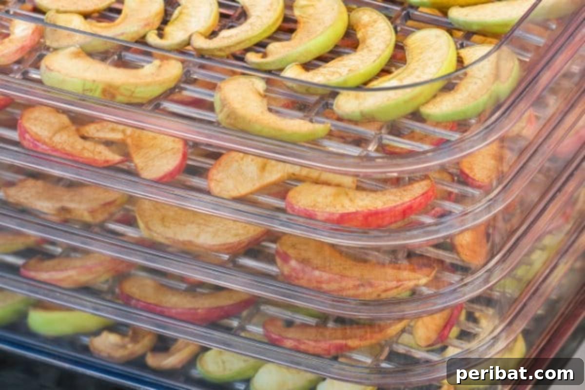 Extend Your Garden Harvest: 3 Simple Preservation Methods and 20 Flavorful Recipes 8 Food dehydrator