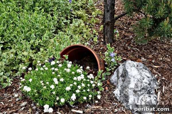 Cascading Flower Pot Art for Stunning Garden Decor 20 A large, partially buried terra cotta pot with a broken edge, from which delicate white wildflowers spill onto a lush green ground cover, creating a beautiful and rustic garden feature.