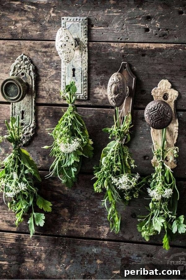 32 DIY Vintage Garden Crafts to Add Rustic Charm 13 A collection of vintage doorknobs mounted on a reclaimed wood wall, serving as a rustic herb drying rack.