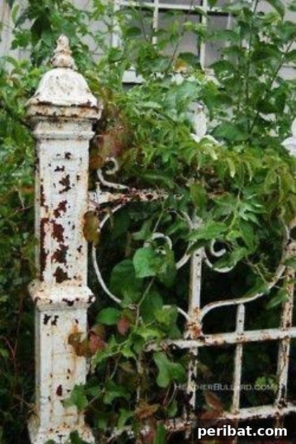 32 DIY Vintage Garden Crafts to Add Rustic Charm 17 An old rusty bed frame used as a decorative railing or trellis in a garden, surrounded by climbing vines and lush greenery.