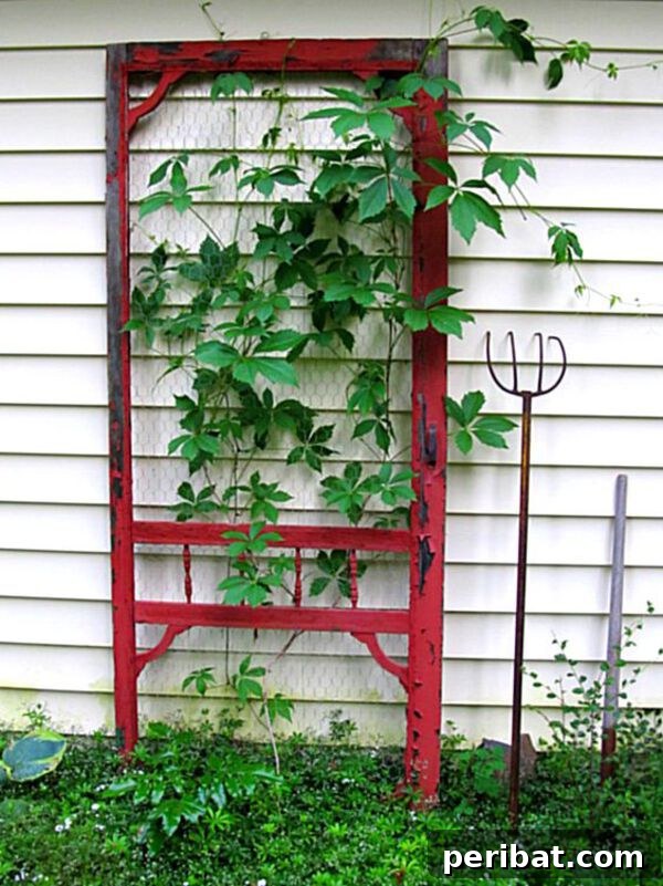 Door frame trellis made from an old screen door