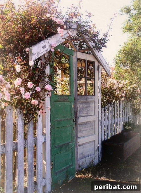 A rustic garden entrance featuring old, weathered wooden doors repurposed as an artistic and unique gate