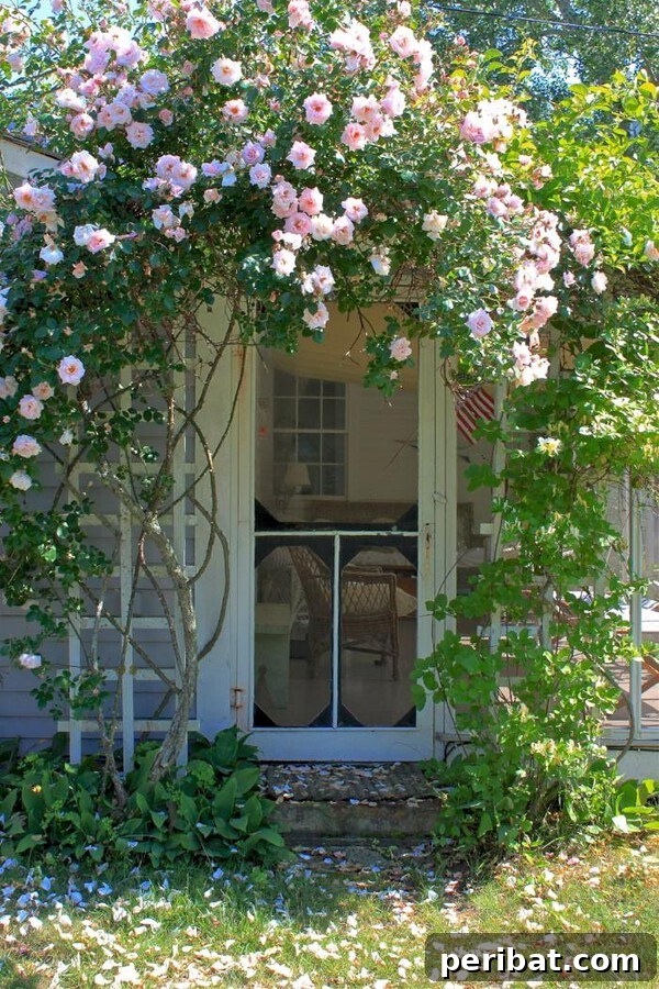 A charming wooden arbor covered in lush green vines, framing the entrance to a cottage-style home