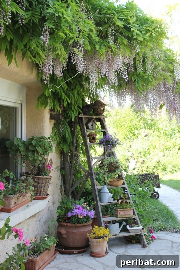 A rustic wooden ladder adorned with various birdhouses and small potted plants, creating a charming vertical display