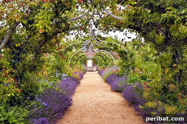 A picturesque garden archway covered in climbing vines and vibrant flowers, creating a natural canopy over a pathway