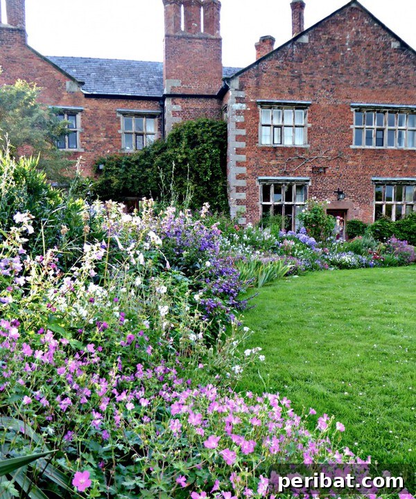 A stunning garden border showcasing a rich variety of purple flowers in different shades and textures, planted by a red brick home